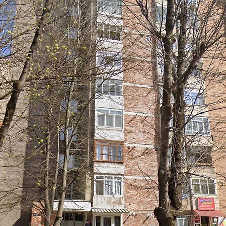 Studio Hunedoara Exteriér fotografie
